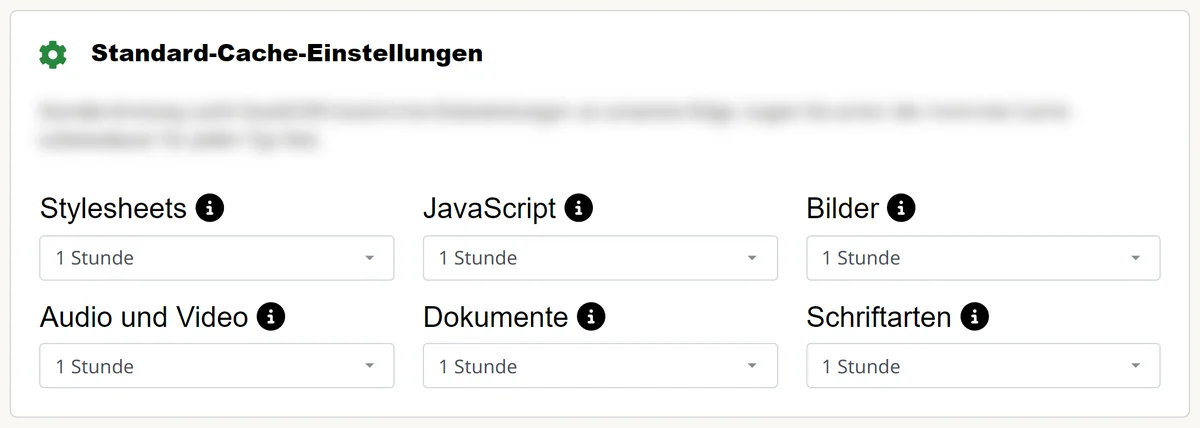 Cpanel: Standard-Cache-Einstellungen je Dateiart